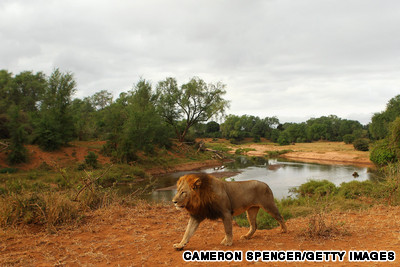 10 khu bảo tồn hoang d&atilde; đẹp nhất ch&acirc;u Phi